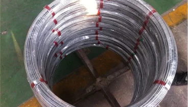 Galvanized Steel Oval Wire For Cattle Fence